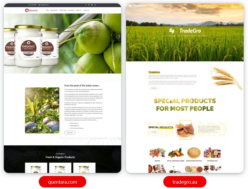 website design services