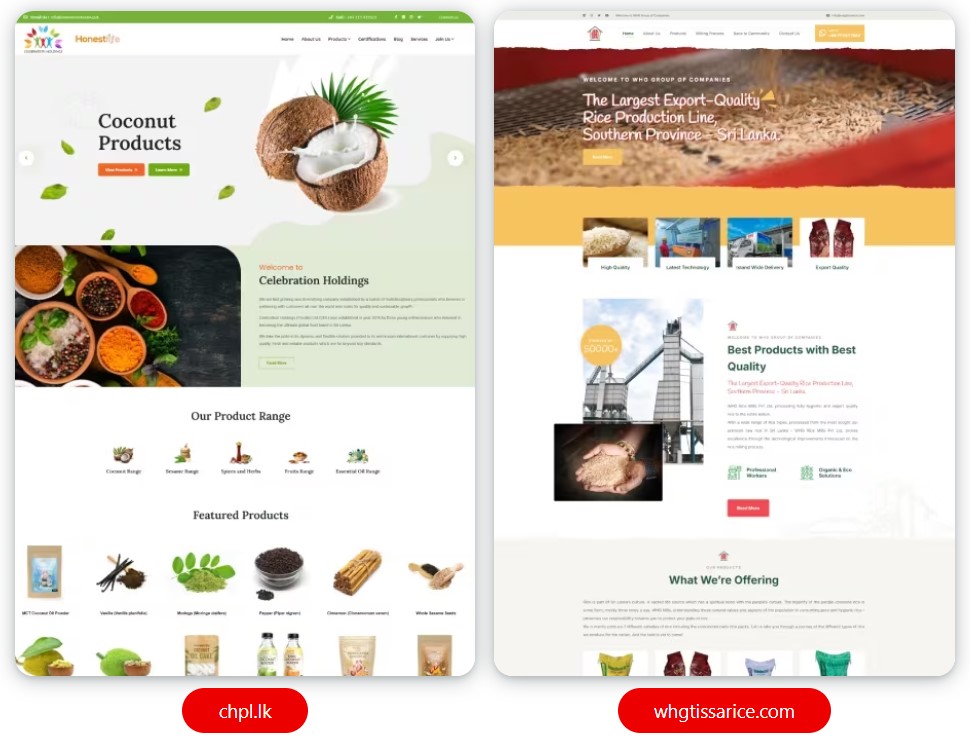website design