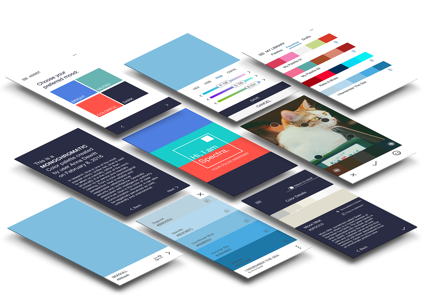 Web Development Company in Sri Lanka